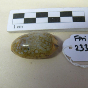 12158_1.jpg
