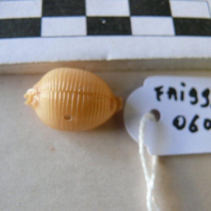 12192_1.jpg