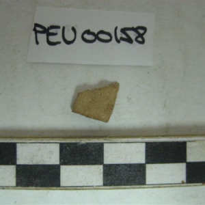 3834.jpg