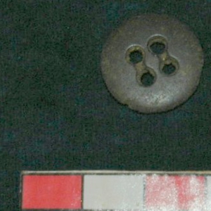 5278_2.jpg