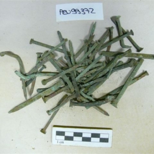 9462.jpg