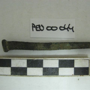 9953.jpg