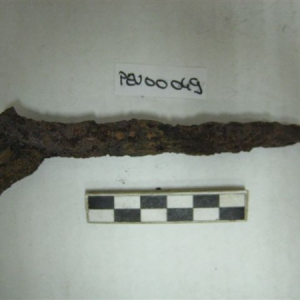 9965.jpg